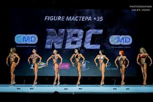 FIGURE МАСТЕРА +35